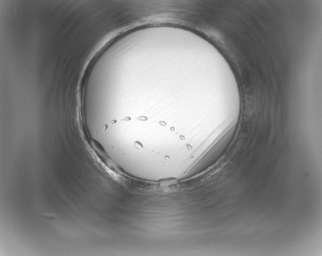 X0000052991286200508051058