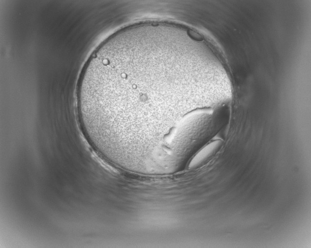 X0000052991287200508051058