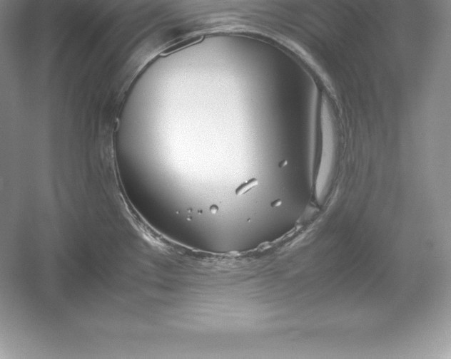 X0000052991289200508051058