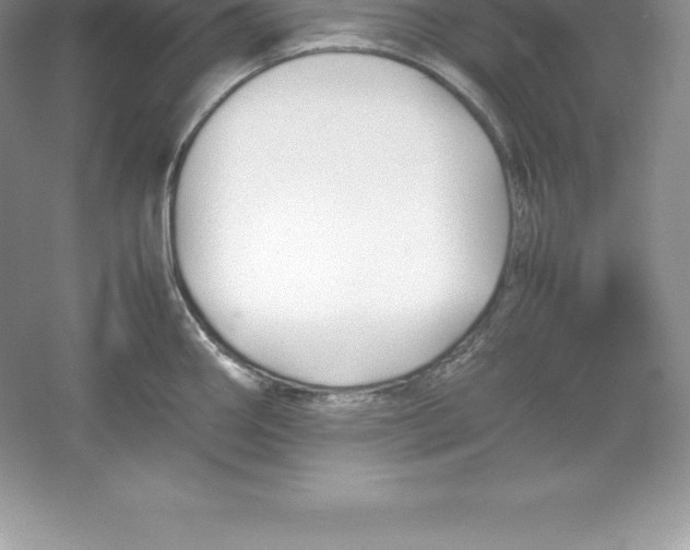 X0000052991290200508051058