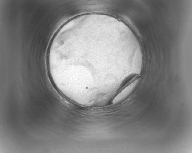 X0000052991291200508051058