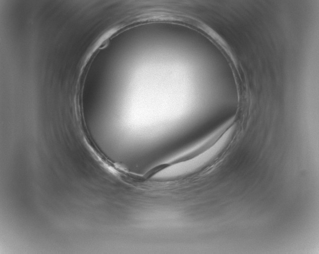 X0000052991293200508051058