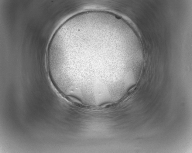 X0000052991295200508051058