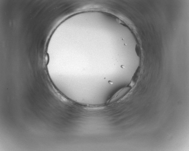 X0000052991296200508051058