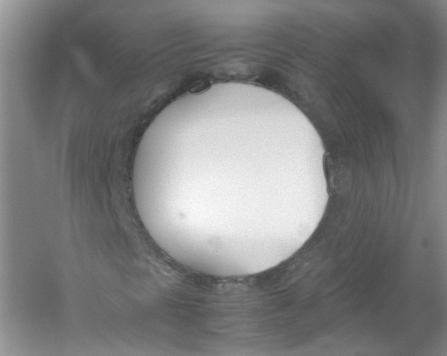 X0000052991297200508051057