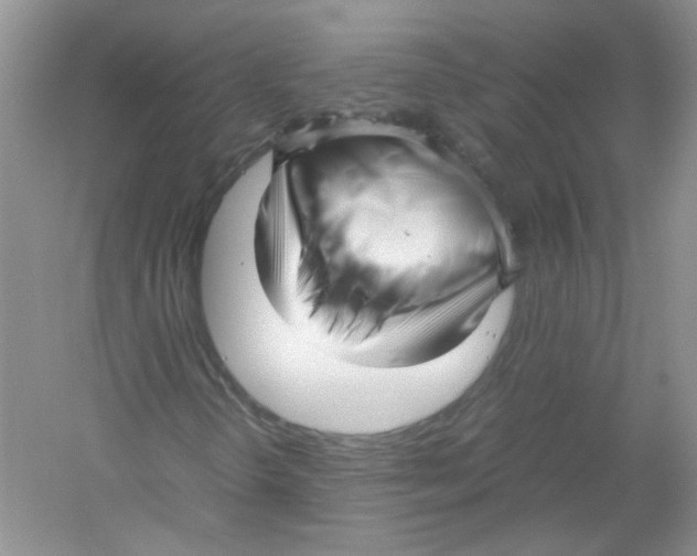 X0000052991298200508051057