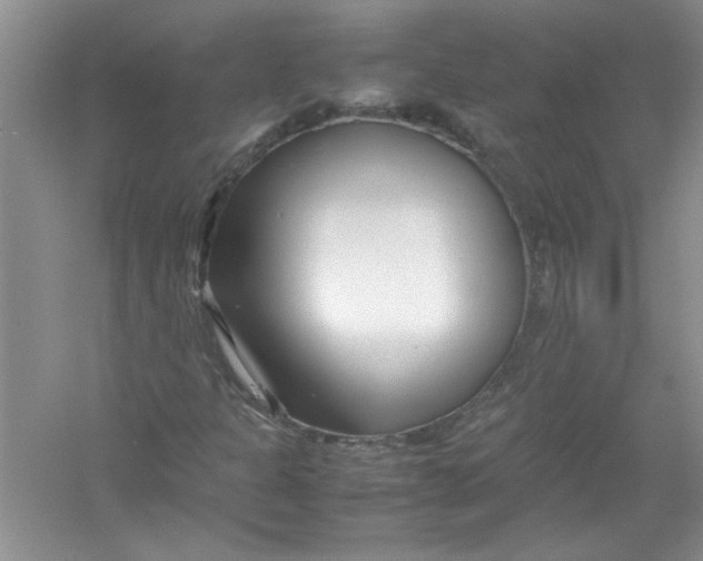 X0000052991301200508051057