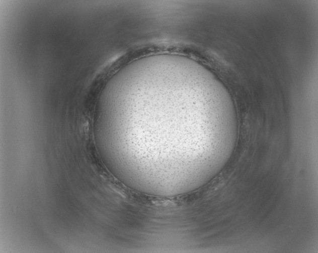 X0000052991302200508051057