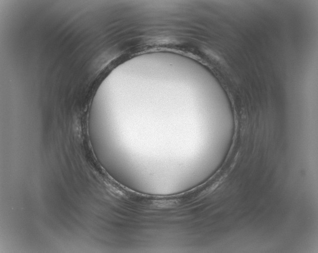 X0000052991305200508051057