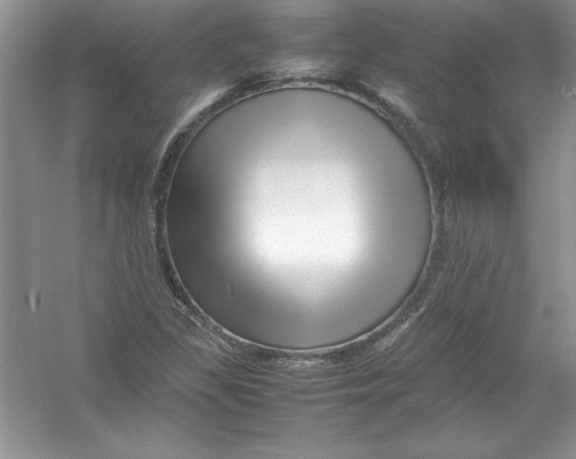 X0000052991309200508051057