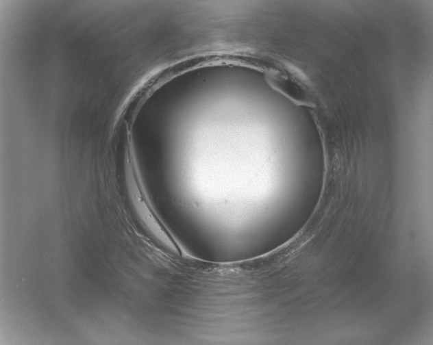 X0000052991310200508051057