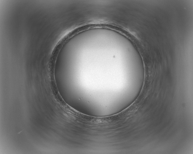 X0000052991311200508051057