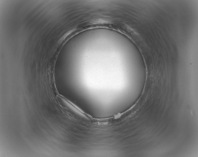 X0000052991313200508051057