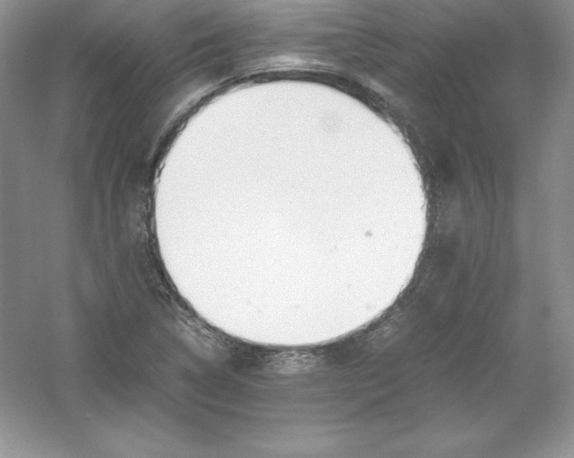 X0000052991314200508051057