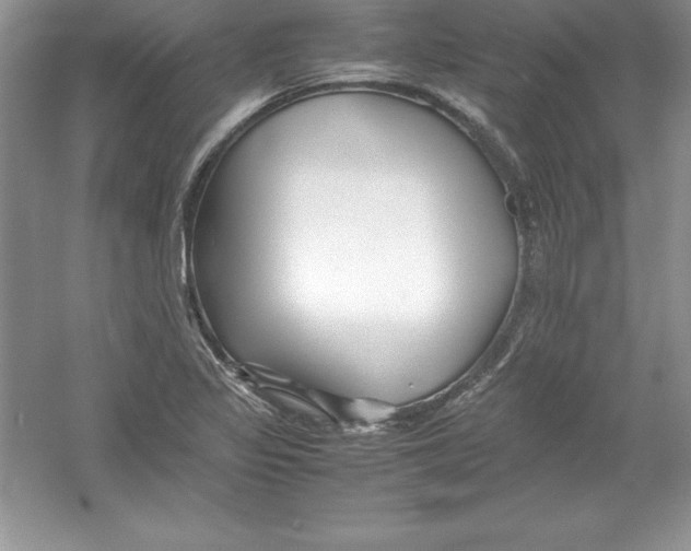 X0000052991317200508051057