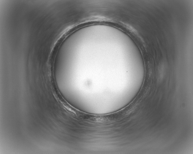 X0000052991318200508051057