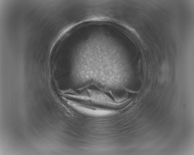 X0000052991319200508051057