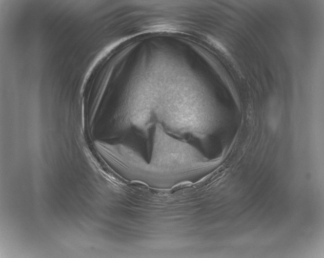 X0000052991323200508051057