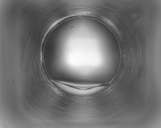 X0000052991324200508051057