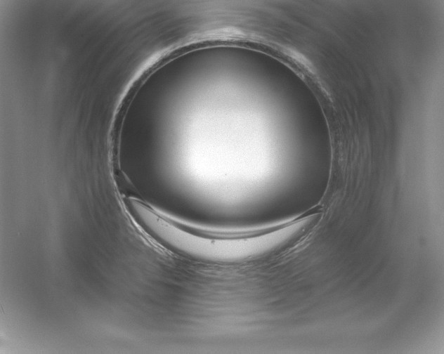 X0000052991326200508051057