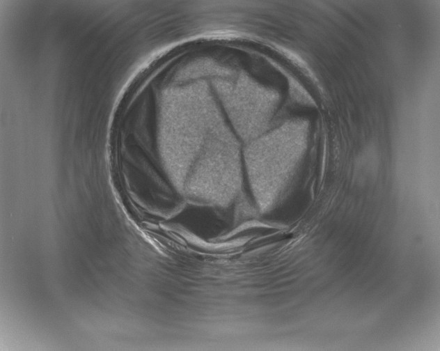 X0000052991327200508051057
