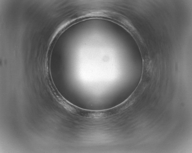 X0000052991328200508051057