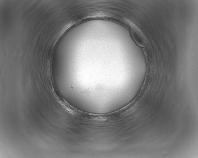 X0000052991329200508051057