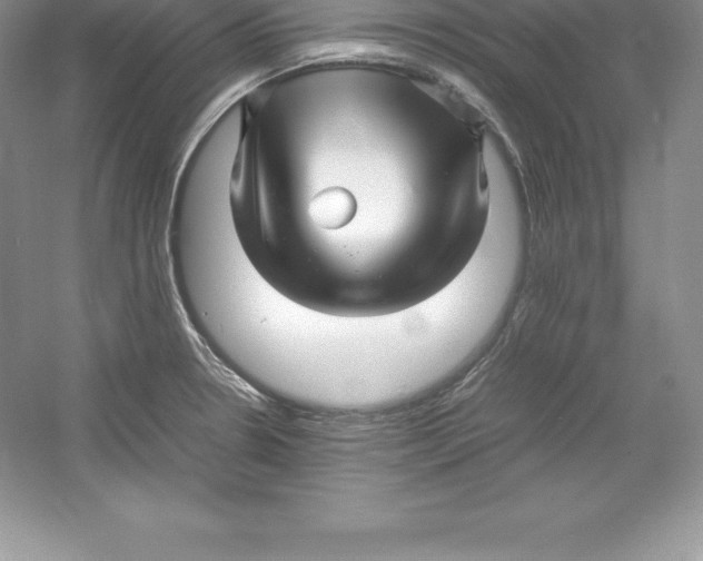 X0000052991330200508051057