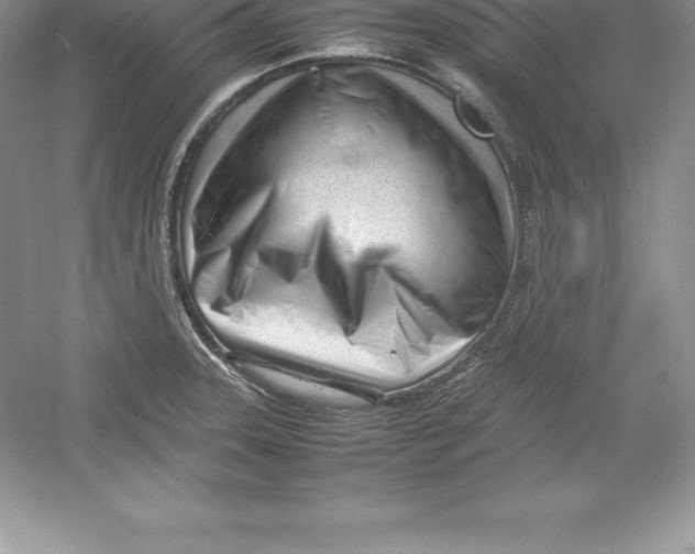 X0000052991331200508051057