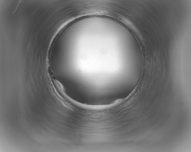 X0000052991332200508051058