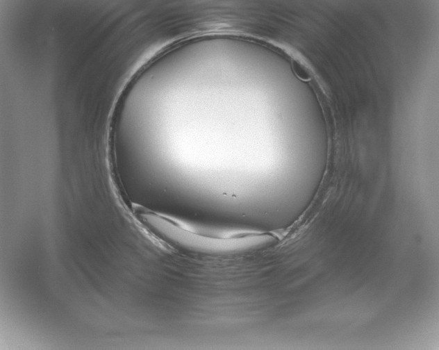 X0000052991333200508051058