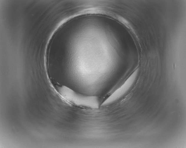 X0000052991334200508051058