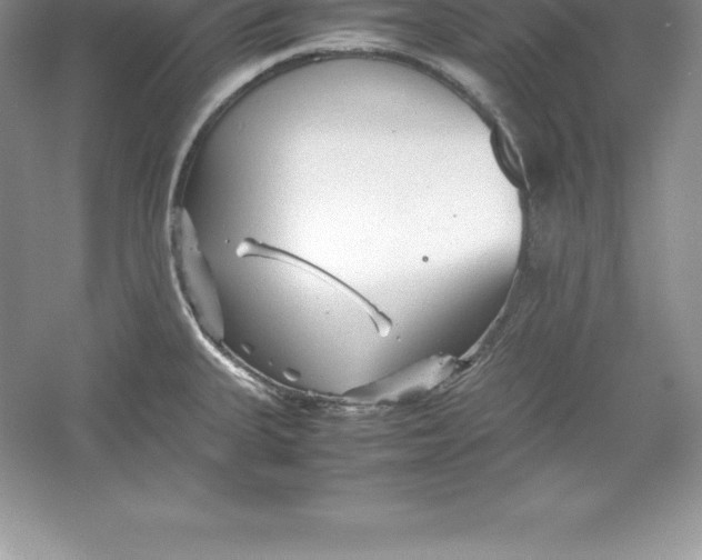 X0000052991335200508051058