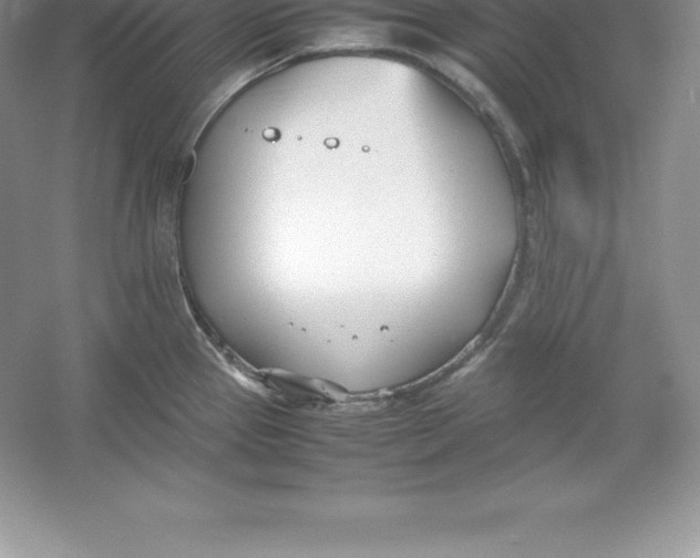 X0000052991337200508051058