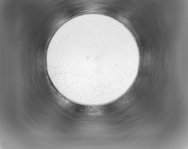 X0000052991338200508051058