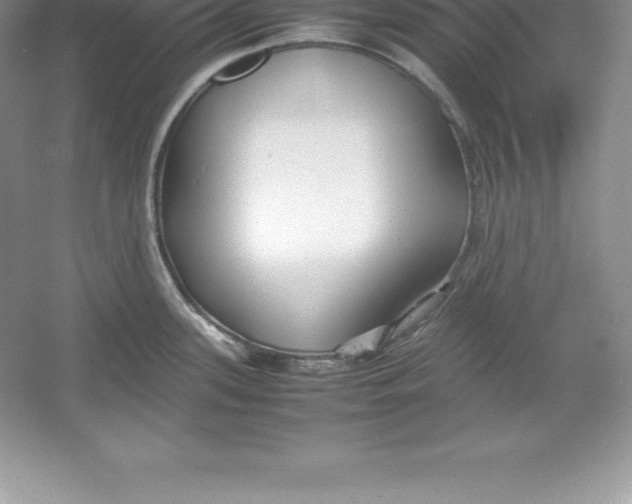 X0000052991339200508051058