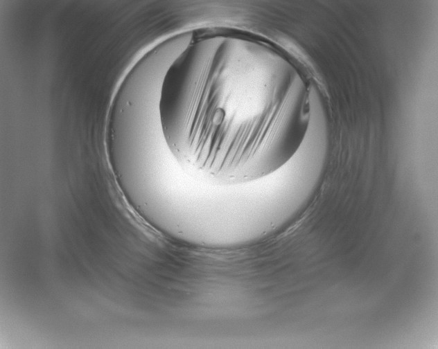 X0000052991340200508051058