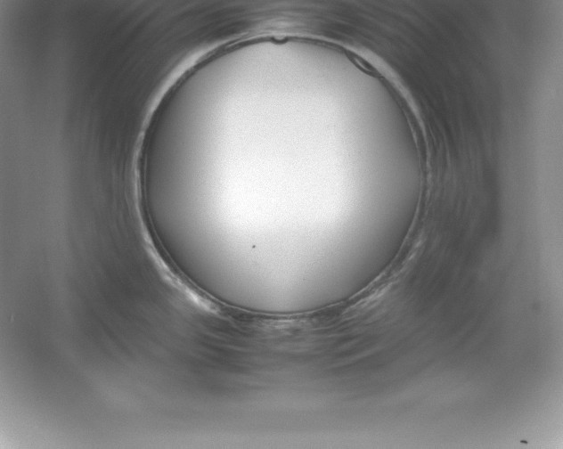 X0000052991341200508051058