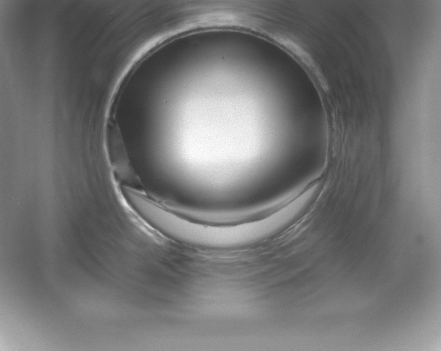 X0000052991342200508051058