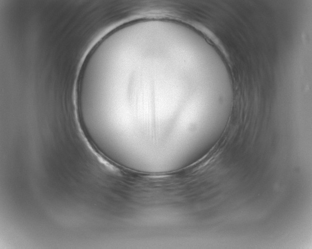 X0000052991343200508051058