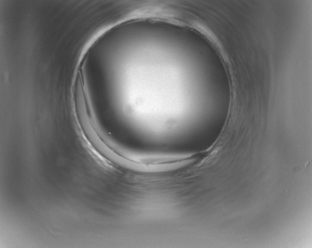 X0000052991344200508051058