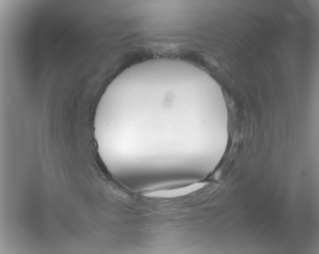 X0000052991345200508051057