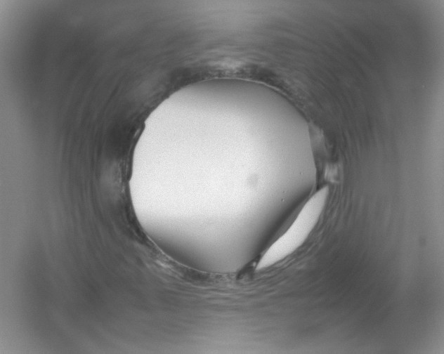 X0000052991347200508051057