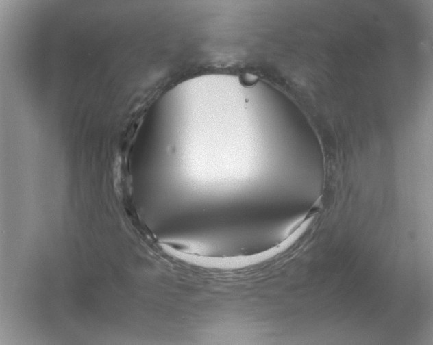 X0000052991349200508051057