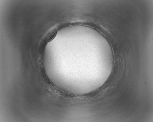 X0000052991351200508051057