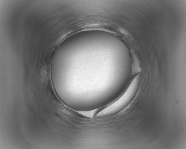 X0000052991353200508051057