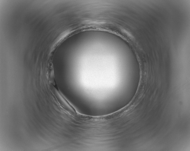 X0000052991354200508051057