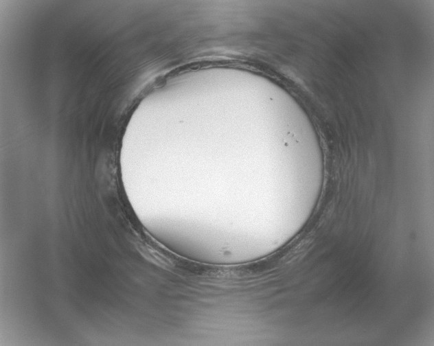 X0000052991355200508051057