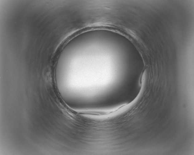 X0000052991356200508051057