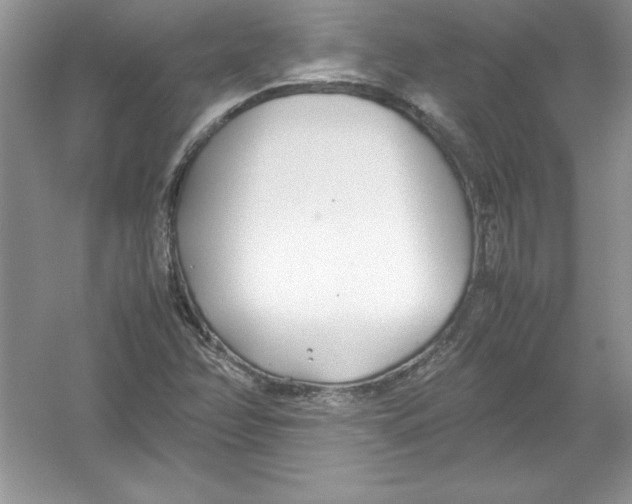 X0000052991358200508051057